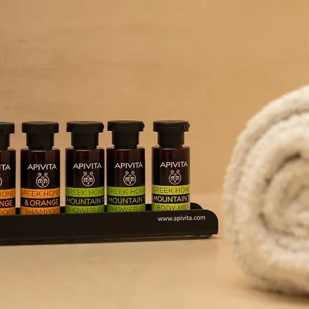 ゲストハウス エナリオン スイーツ 4*