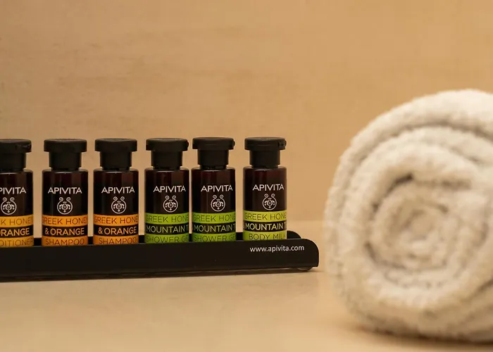 ゲストハウス エナリオン スイーツ 4*