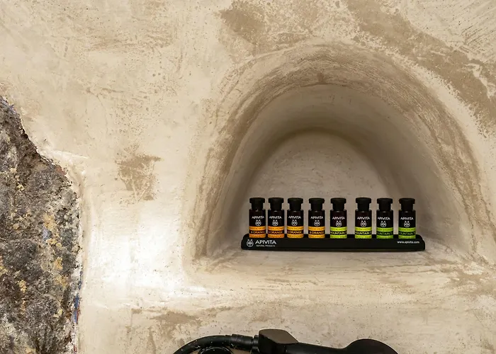 エナリオン スイーツ ゲストハウス 4*